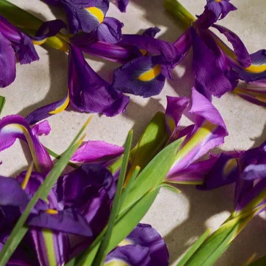 Full Iris Eau de Parfum